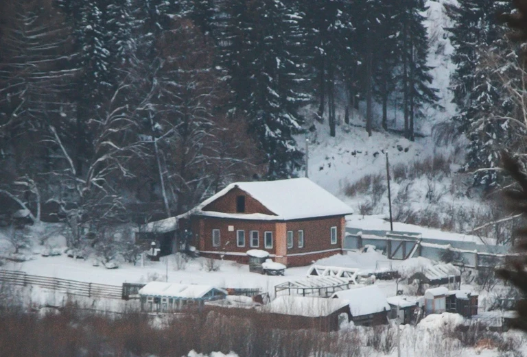 pexels-danila-popov-85164195-10853356.jpg