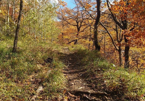 Окрестности горы Индюк