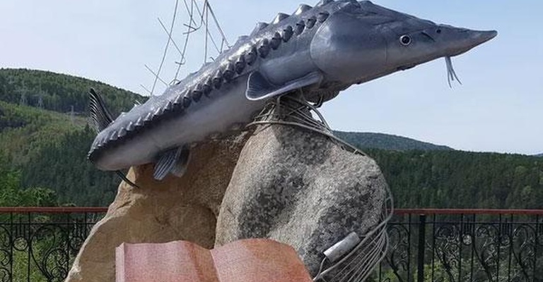 Смотровая площадка (Царь рыба)