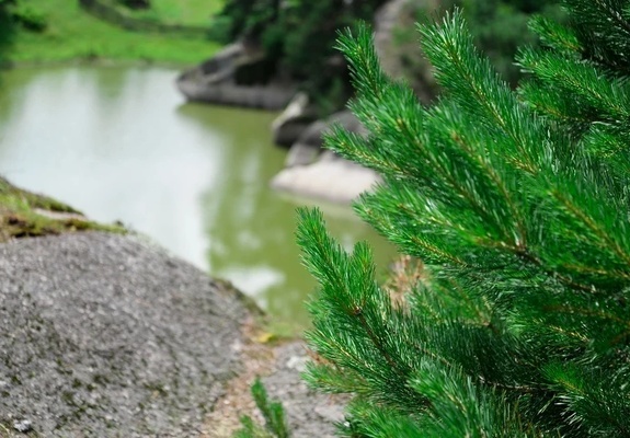 Шаманское озеро