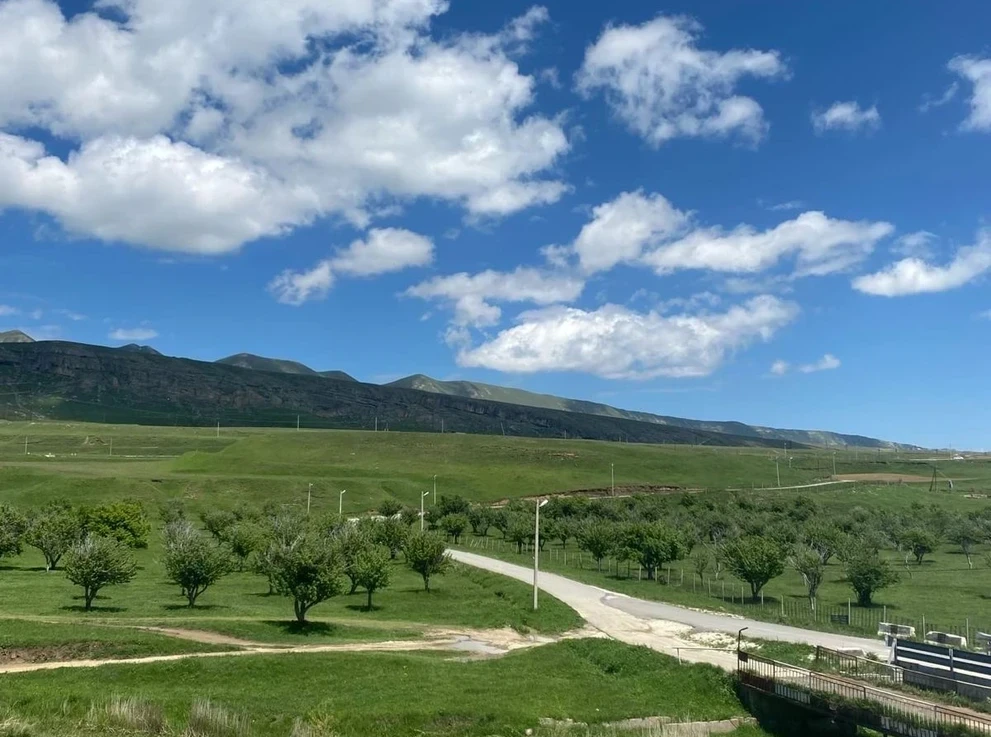 Дагестанские альпийские луга 