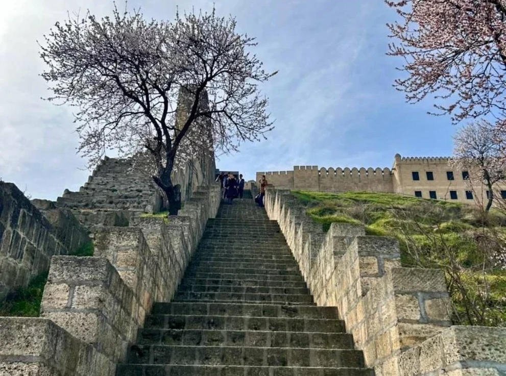 Крепость Нарын-кала