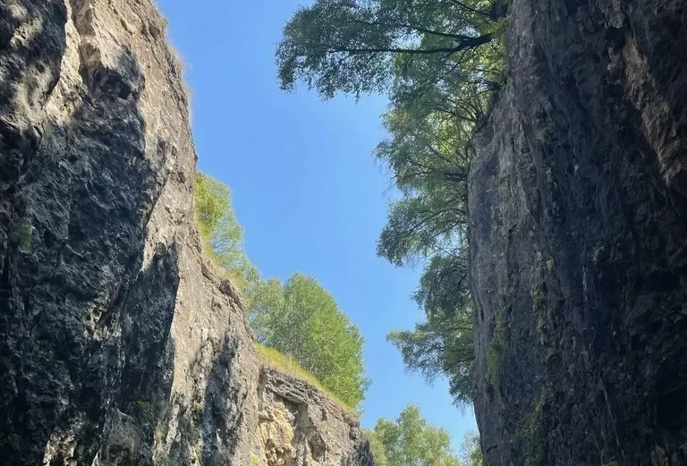 Каменная чаша 