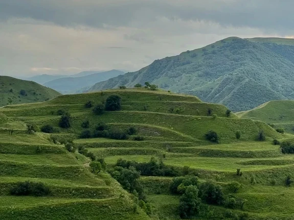 Чох.террасы