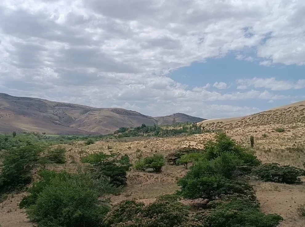 Бархан Сарыкум 