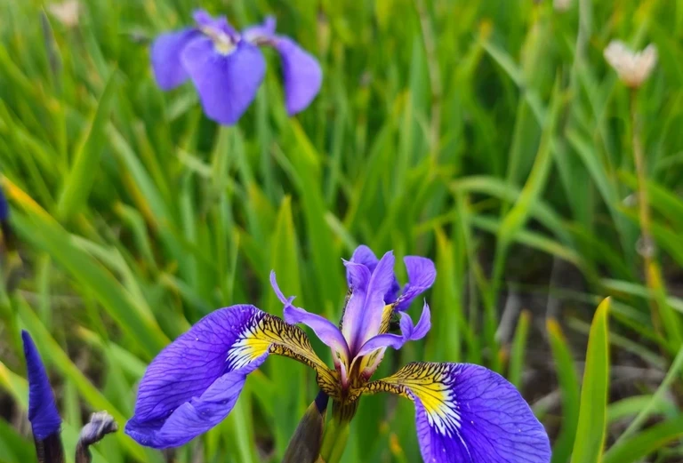 Фото