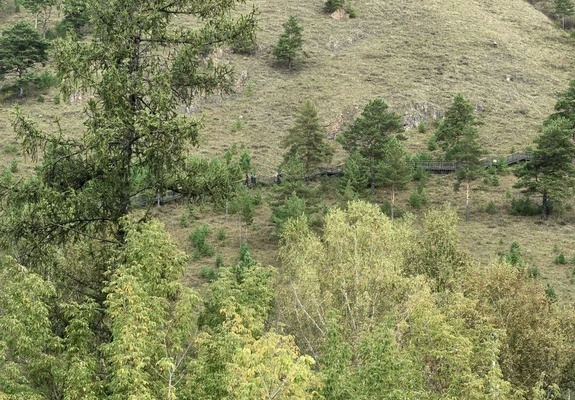 Лестница на Торгашинский хребет