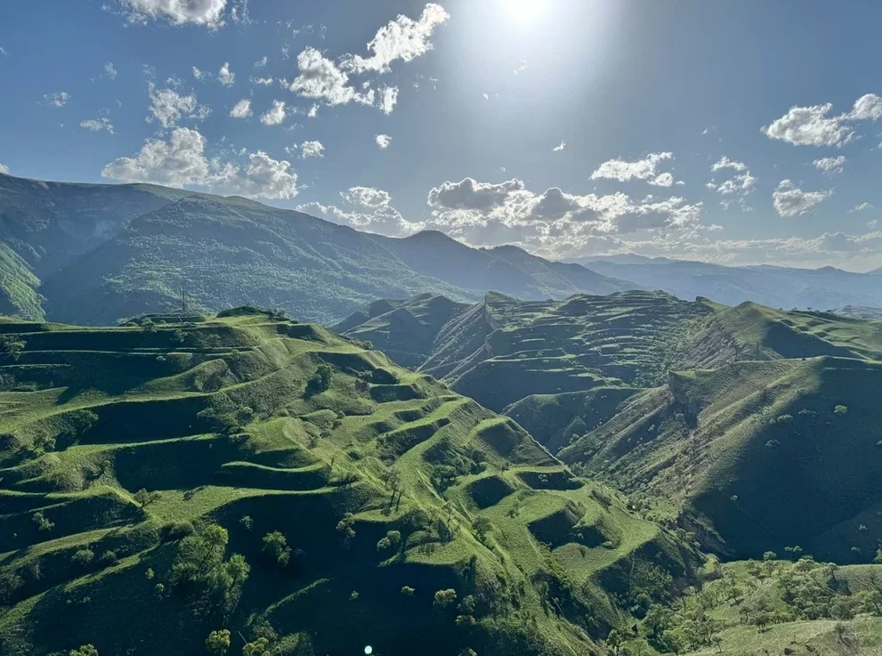 Чох.террасы